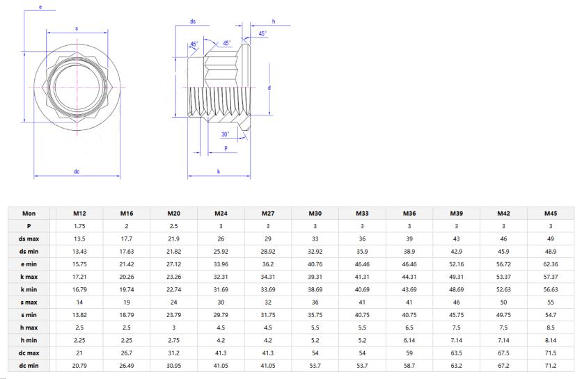 12 Point flange nuts