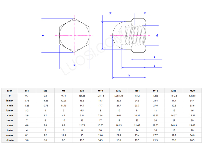 Type 1 Hexagon domed cap nuts