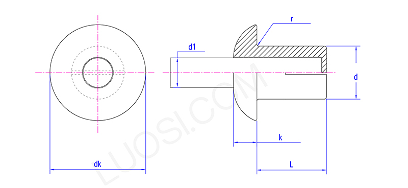 Single Step Core Penetrating Rivet