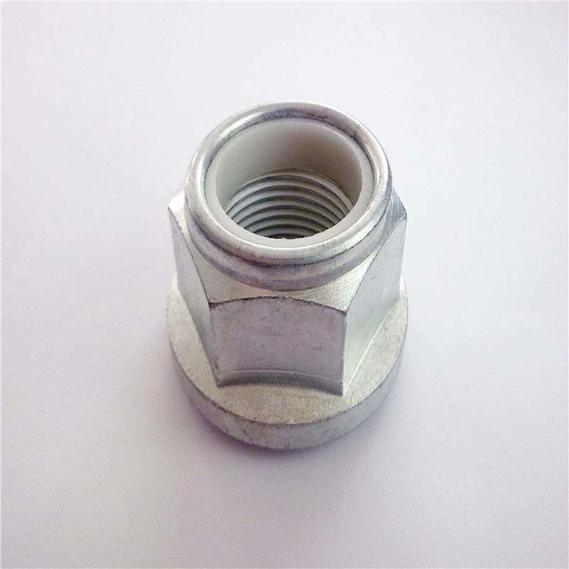 Nylonindsats Hexagon Flange Lock Nut Case