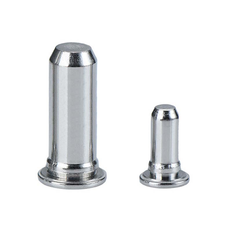 FN 400 rustfrit stål guide pin